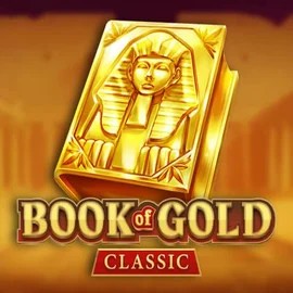 Try Book of Gold Classic slot by Playson on betninjaa.com – logo image