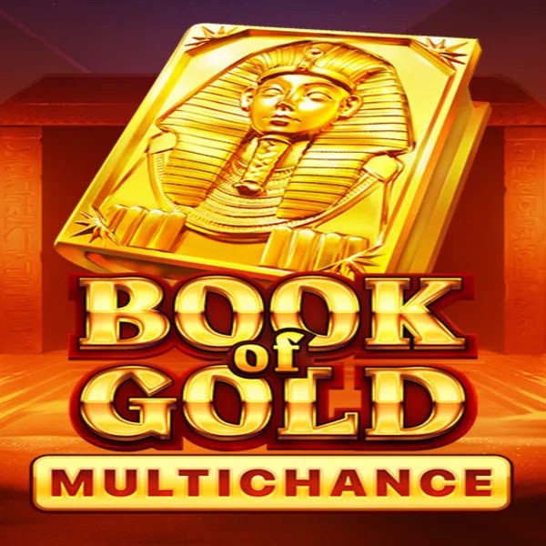Book of Gold Multichance logo – Slots by Playson at Betninja Casino
